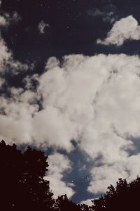 Low angle view of silhouette trees against sky