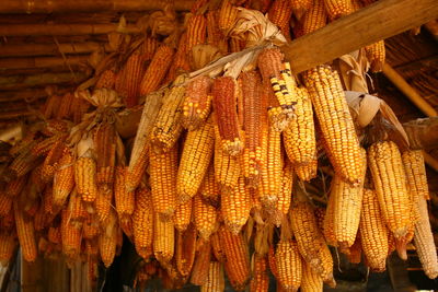 Close-up of corn hanging