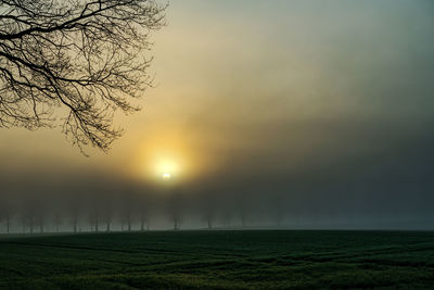 Scenic view of field against sky during sunset