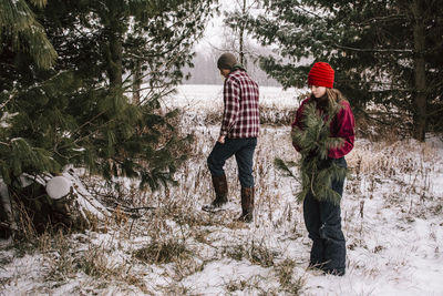 Boy and girl gathering pine boughs for christmas 