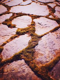 Full frame shot of white background