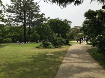 High angle view of people on pathway in park