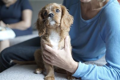 Low section of woman with dog