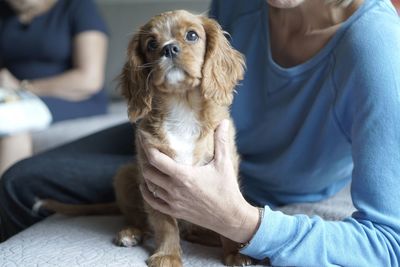 Midsection of senior woman holding puppy on sofa