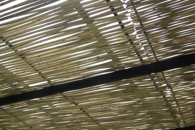 Full frame shot of abstract pattern