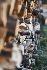 Stack of logs