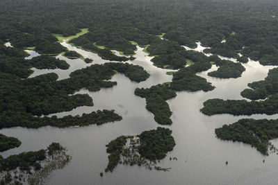 Beautiful aerial view to flooded green amazon rainforest and river