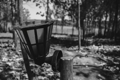 Close-up of metal street lamp in forest