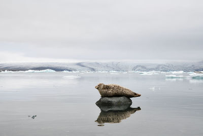 Scenic view of sea against sky during winter