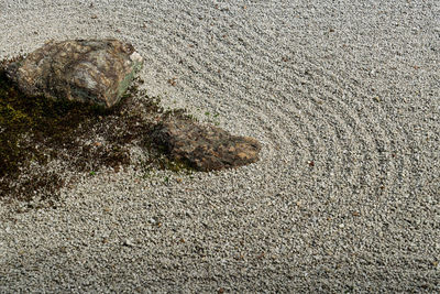 Close-up of sand on beach