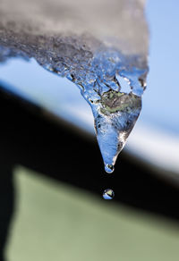 Close-up of ice crystals against blurred background