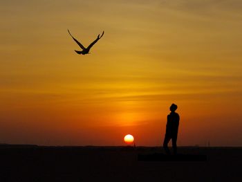 Silhouette bird flying over orange sunset sky