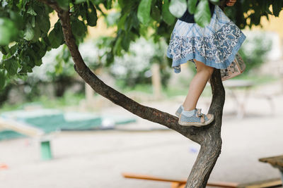 Girl climbing tree
