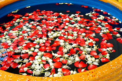 High angle view of red flowers in bowl