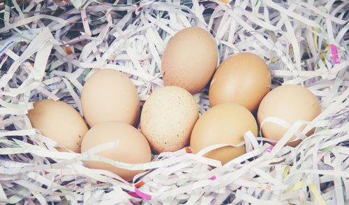 High angle view of eggs in container