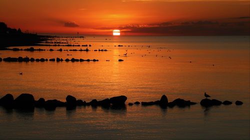 Scenic view of sea during sunset