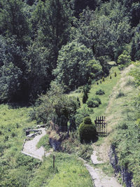High angle view of footpath amidst trees