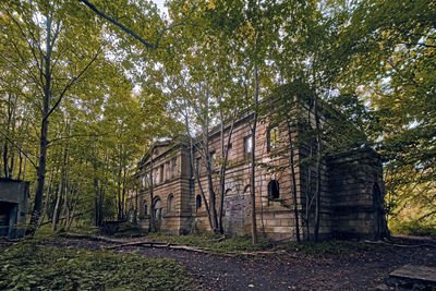 Low angle view of old building in forest