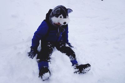 High angle view of person in wolf costume while standing on snow covered field