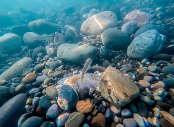 Stones in sea