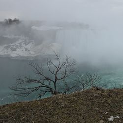 Scenic view of tree next to niagara falls against sky