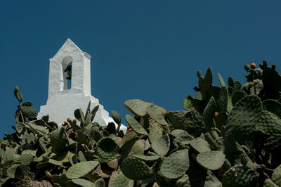 Plants growing outside temple against clear blue sky