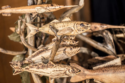 Close-up of dried stack on wood