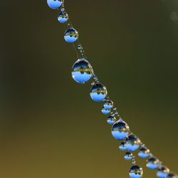 Close-up of water drops on glass against blurred background