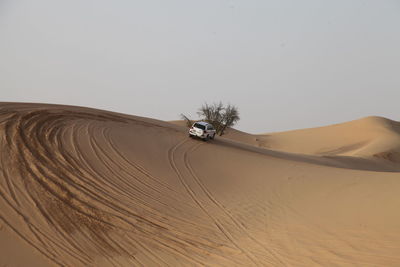 Car in desert against clear sky