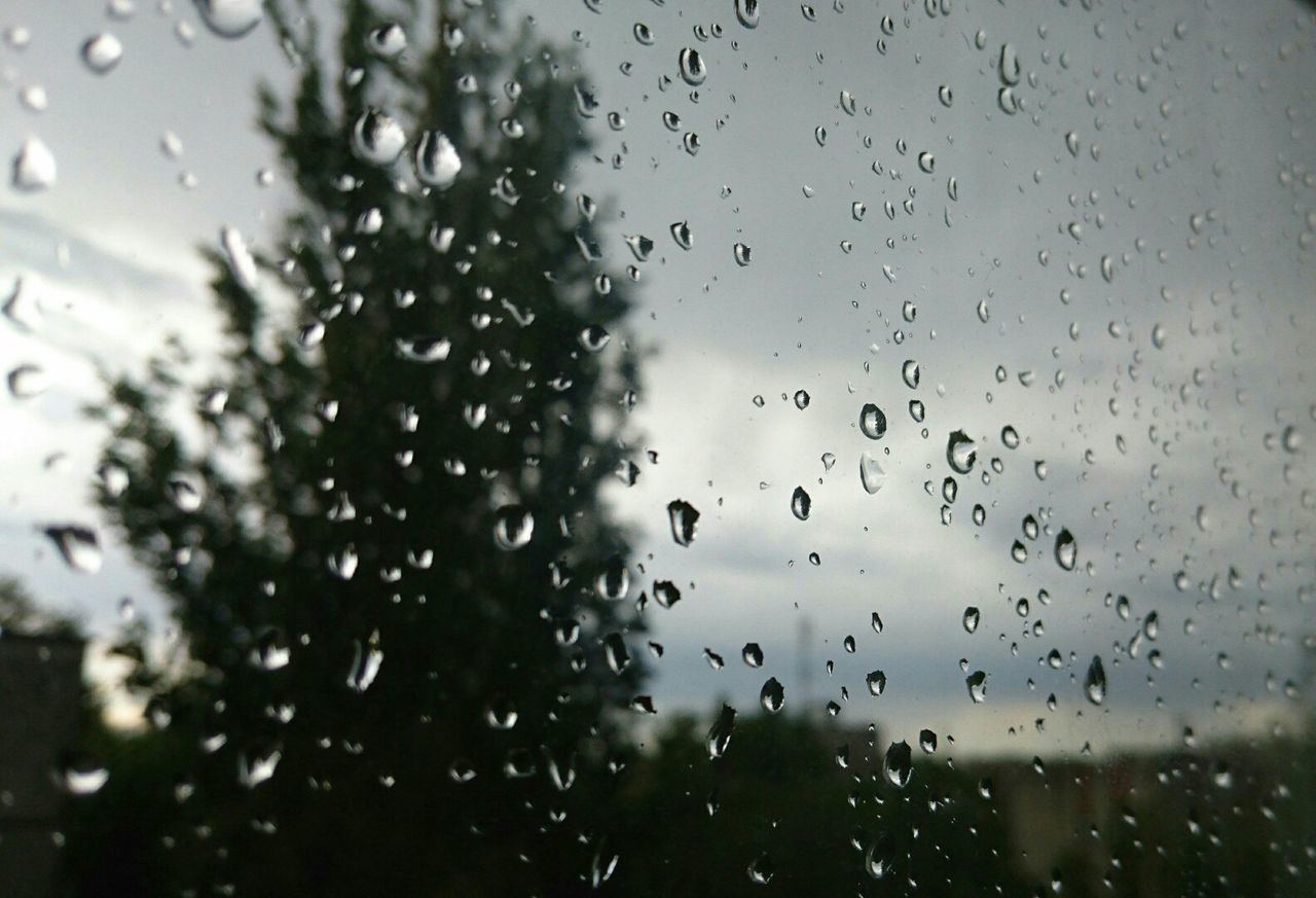 drop, wet, rain, water, window, raindrop, focus on foreground, transparent, weather, glass - material, indoors, season, full frame, close-up, backgrounds, droplet, water drop, glass, tree, monsoon