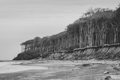 Scenic view of beach against clear sky