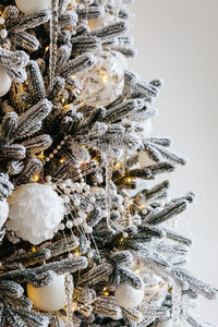 Close-up of frozen christmas tree