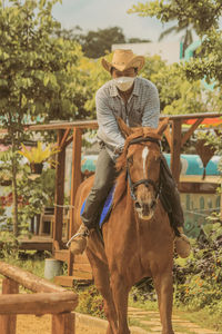 Rear view of man riding horse on field