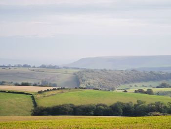 Scenic view of landscape against sky