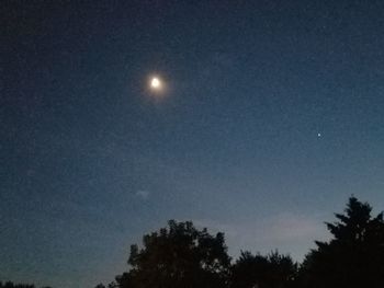 Low angle view of trees against sky at night