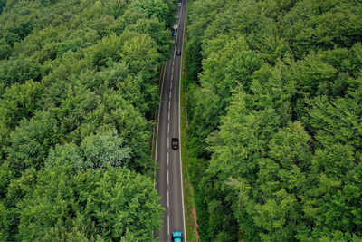 High angle view of road amidst trees in forest