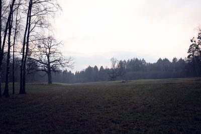 Trees on field against sky