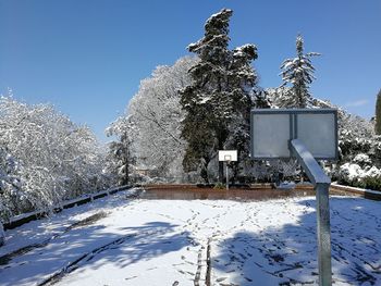 Snow covered trees against clear blue sky