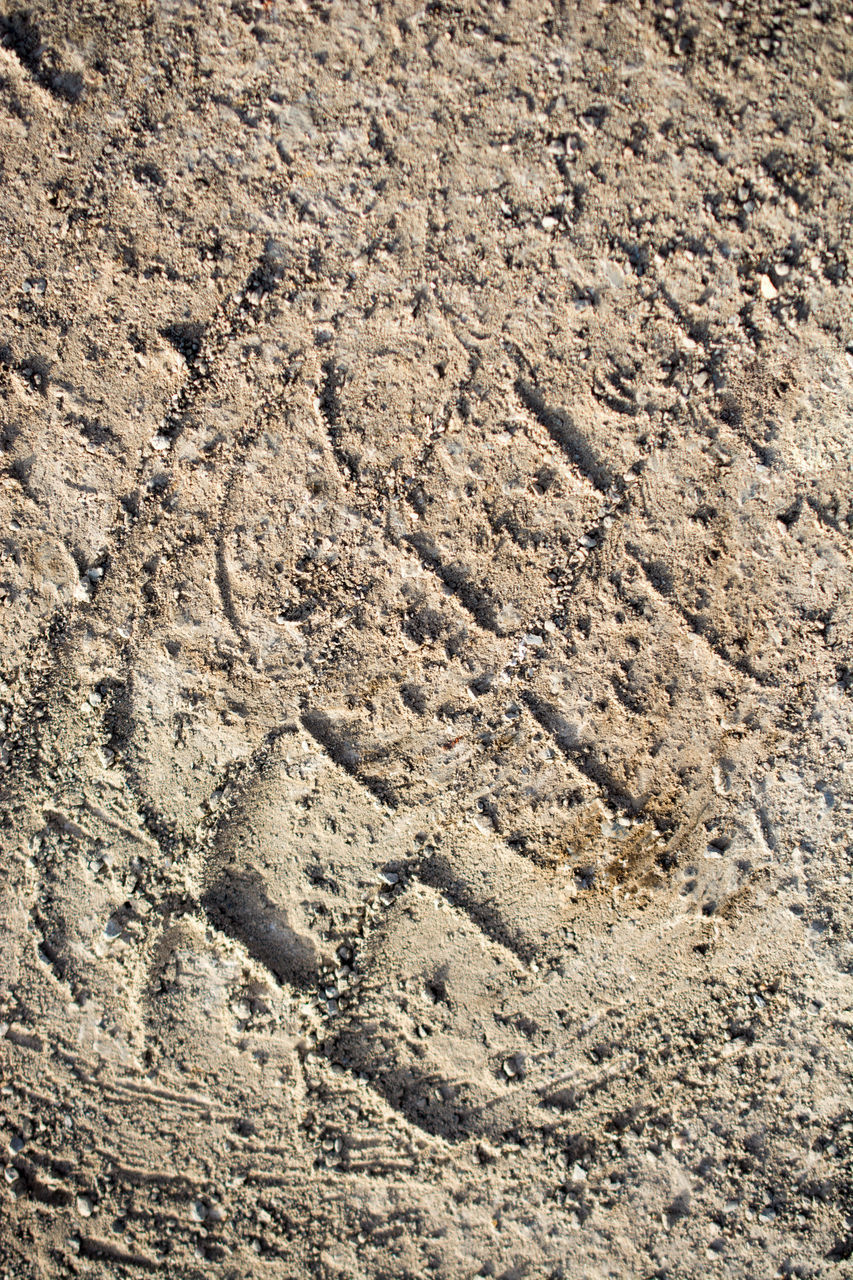 FULL FRAME SHOT OF MUD