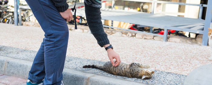 Man and cat on street in city