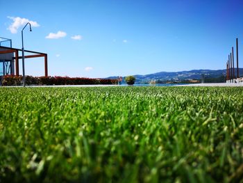 Scenic view of field against blue sky