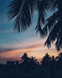Silhouette palm trees against sky during sunset