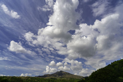 Low angle view of trees against sky