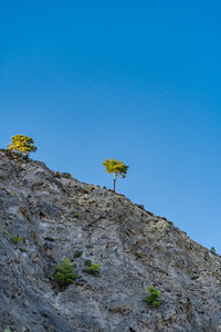 Low angle view of rocks against blue sky