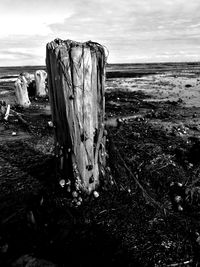 Close-up of wooden post at beach against sky