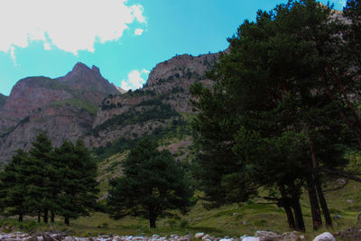 Scenic view of trees and mountains against sky