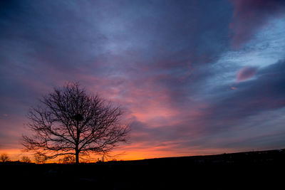 Silhouette bare tree against sky at sunset