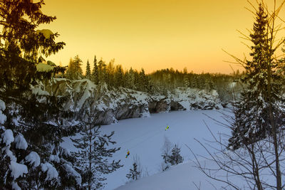 Scenic view of snow covered trees against sky during sunset