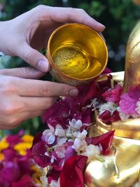 Cropped hands of woman pouring water on flowers