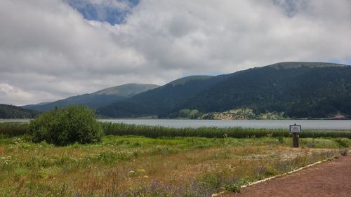 Scenic view of field by lake against sky